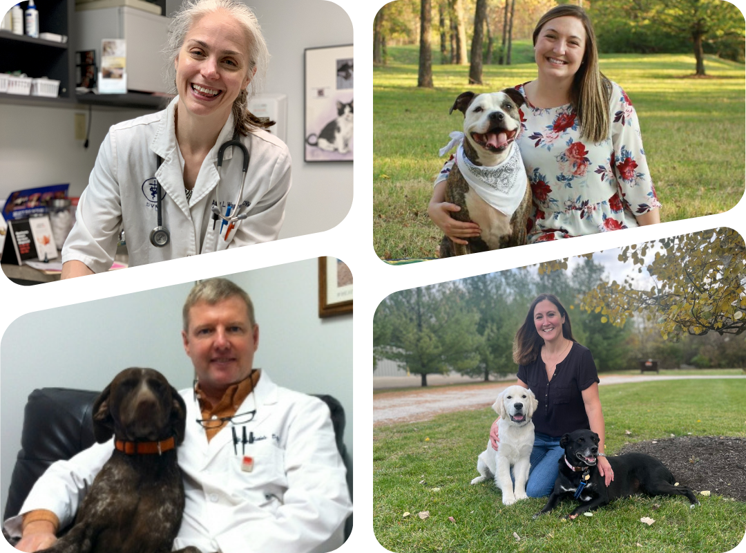 Washington Veterinary Medical Clinic Veterinarians