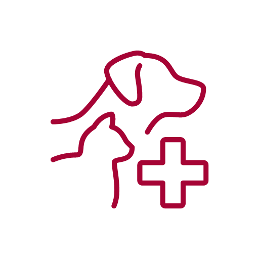 Pet Medical Services Icon