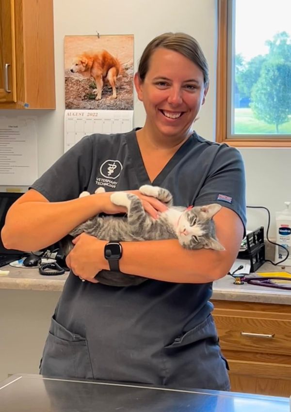 Vet staff holding a cat